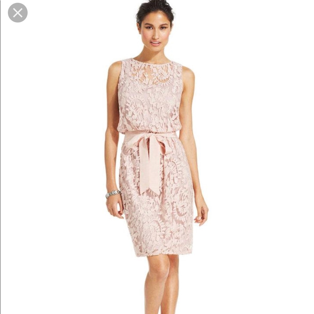 Adrianna Papell Lace Ribbon Blouson Dress